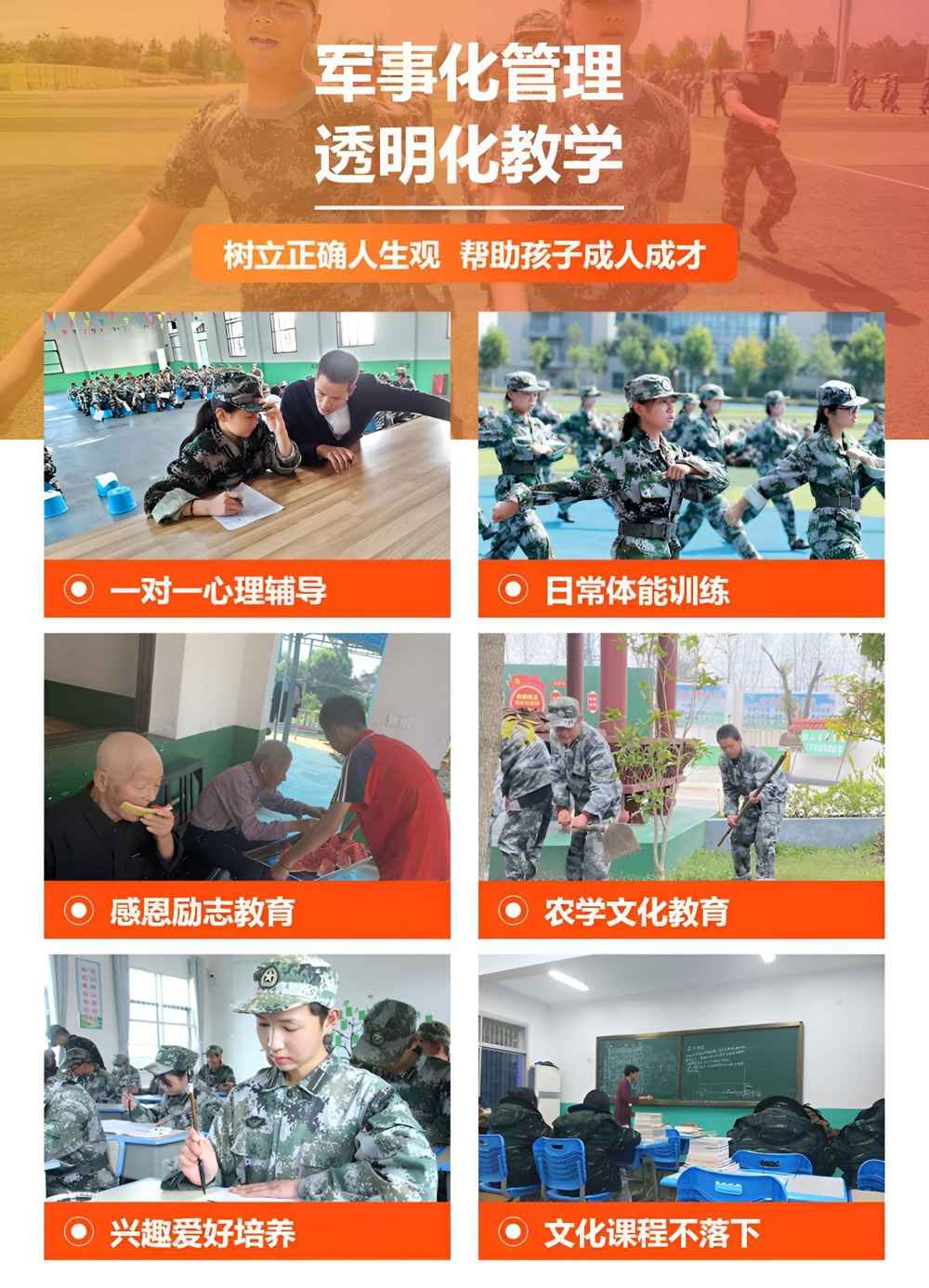 m2.jpg